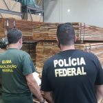 PF fiscaliza madeiras no porto de manaus