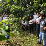 Inpa tem seleção para Doutorado em Ciências de Florestas Tropicais