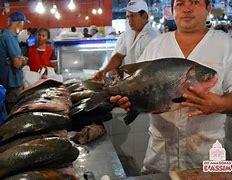 Peixeiro: cinco vagas com carteira assinada estão abertas