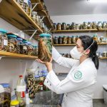 Estudo investiga envenenamento de pacientes picados por serpentes
