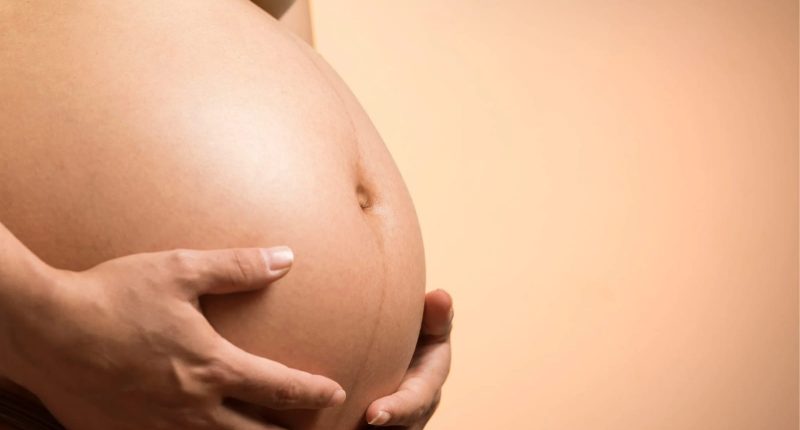 Aumento da eliminação de cálcio durante a gravidez influencia no aparecimento de cálculos urinários