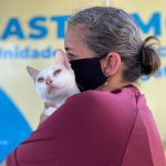Sema promove mutirão de castração para cães e gatos na Cidade Nova