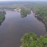 Conselho Nacional das Populações Extrativistas defende criação urgente de RDS para proteger região do Rio Manicoré