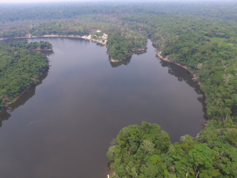 Conselho Nacional das Populações Extrativistas defende criação urgente de RDS para proteger região do Rio Manicoré