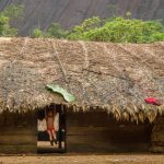 Defensoria apura casos de desnutrição e mortes de crianças Yanomami no Alto Rio Negro