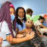 Curso gratuito de 'Banho e Tosa para Pets’ abre 60 vagas em Manaus