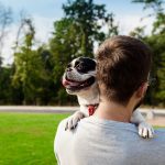 Saiba quais cuidados tomar com os pets no verão