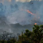 Incêndios florestais na Amazônia estão relacionados a desmatamento e não a seca severa, diz estudo