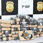 Polícia apreende carga de maconha no porto da Panair