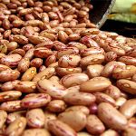 Leguminosa típica do prato dos brasileiros, feijão é produzido principalmente nos estados do Paraná, Minas Gerais e Bahia - Mapa/Divulgação