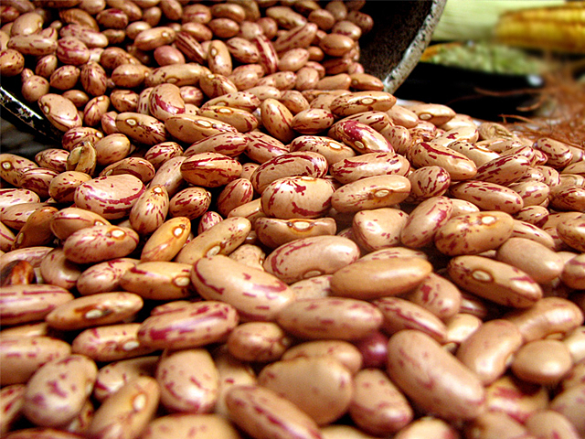 Leguminosa típica do prato dos brasileiros, feijão é produzido principalmente nos estados do Paraná, Minas Gerais e Bahia - Mapa/Divulgação