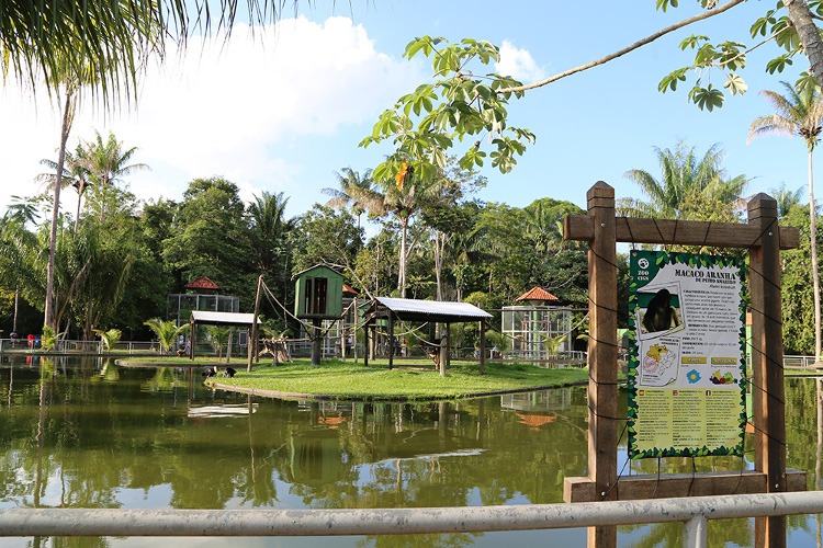 Zoológico de Manaus, o CIGS, vai abrir as portas de graça.