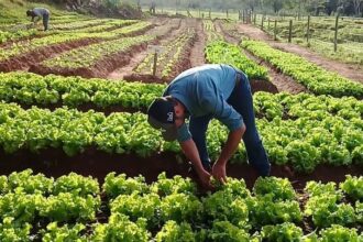 Crédito rural tem ajustes para tentar ampliar alcance