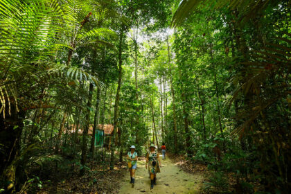 O Museu da Amazônia – o Musa – é um dos principais atrativos naturais da capital amazonense, com acervo composto pela floresta nativa