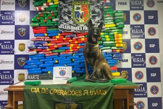 O material apreendido representa um prejuízo superior a R$ 13,3 milhões para o crime