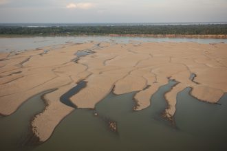 Seca no Amazonas preocupa manejo do pirarucu