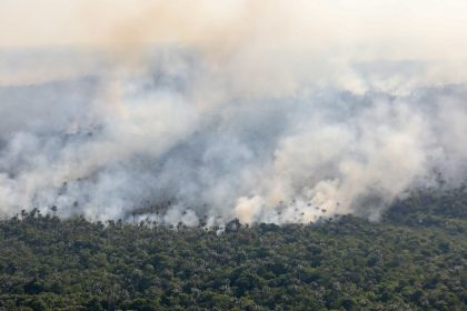 Força Nacional vai atuar no combate as queimadas no Amazonas