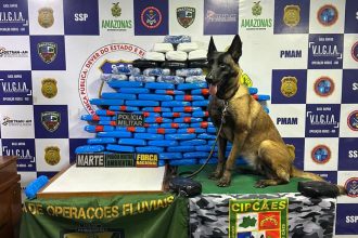 As drogas foram localizadas com o auxílio da cadela policial Havana