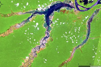 Superfície aquática no estado cai 14 mil km² e é a menor desde 2018; Rio Negro chega a menor nível já registrado