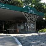 Inscrições para estágio no INPA seguem abertas; Saiba como participar