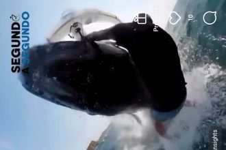 Surfista atropelado por baleia