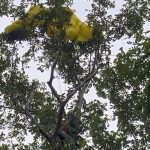Paraquedista sofre acidente no bairro da Paz