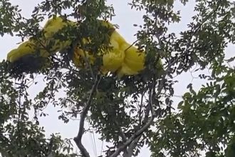 Paraquedista sofre acidente no bairro da Paz