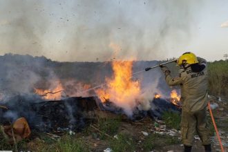 Em 45 dias de missão, Operações Aceiro e Céu Limpo já combateram 1.454 focos de incêndio no Amazonas