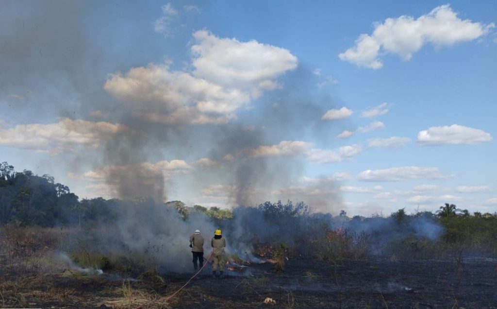 Em 45 dias de missão, Operações Aceiro e Céu Limpo já combateram 1.454 focos de incêndio no Amazonas