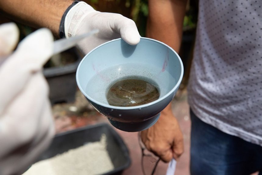 Manaus está em médio risco e 26 bairros tem alta vulnerabilidade para doenças transmitidas pelo Aedes