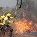 Decretos de emergência por incêndios florestais aumentam 193% em 2024