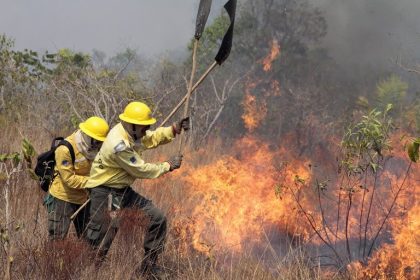 Decretos de emergência por incêndios florestais aumentam 193% em 2024