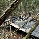 FAB derruba avião de traficantes no Amazonas