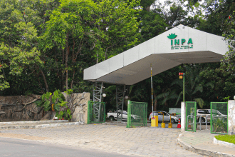 Mais de 40 vagas abertas em programas de pós-graduação do Inpa