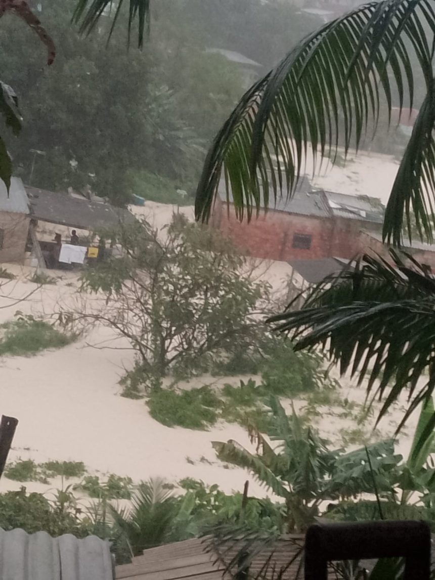 Chuvas em Manaus causam estragos