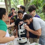 Bosque da Ciência tem programação de aniversário