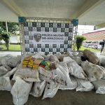 PM apreende drogas no interior do estado