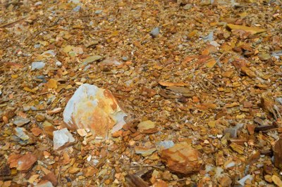 Extração mineral suspensa na Calha do Juruá por impactos ambientais