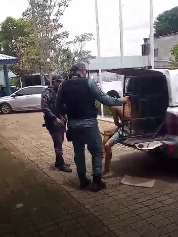Preso escapa de camburão e foge de policiais em Manacapuru