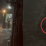 Vídeo: moradores encontram jacaré em rua de Manaus