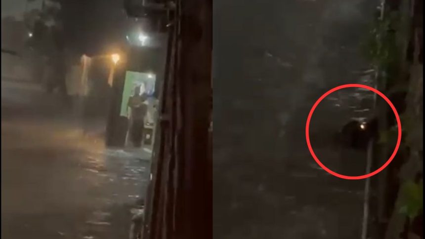 Vídeo: moradores encontram jacaré em rua de Manaus