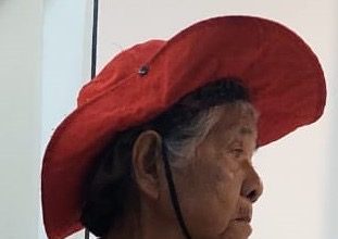 Família procura idosa de 82 anos desaparecida em Novo Airão