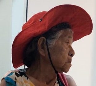 Família procura idosa de 82 anos desaparecida em Novo Airão