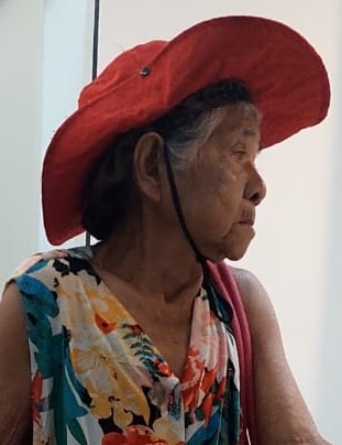 Família procura idosa de 82 anos desaparecida em Novo Airão