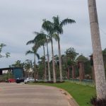 Quintas de São José do Rio Negro celebra entrega do Habite-se