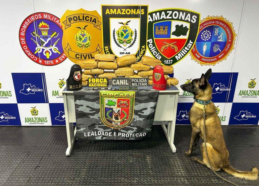 Em Coari, Base Arpão prende mulher com R$500 mil em droga