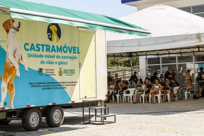 Manacapuru terá castração gratuita de cães e gatos