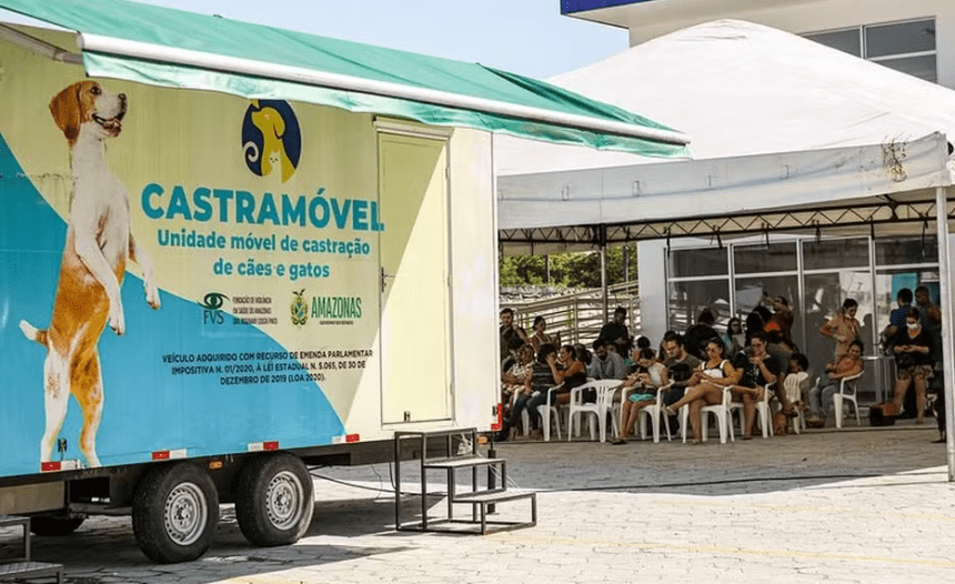 Manacapuru terá castração gratuita de cães e gatos