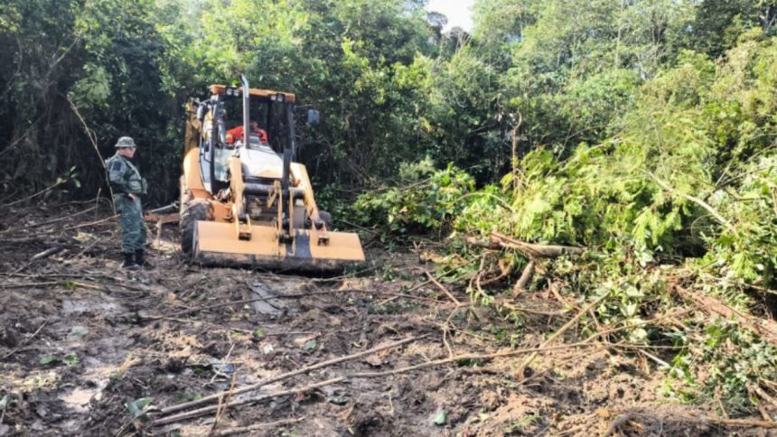 Homem é preso com retroescavadeira desmatando área na BR-174