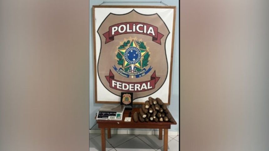 PF apreende 9 kg de cocaína escondidos em macaxeira no interior do Amazonas